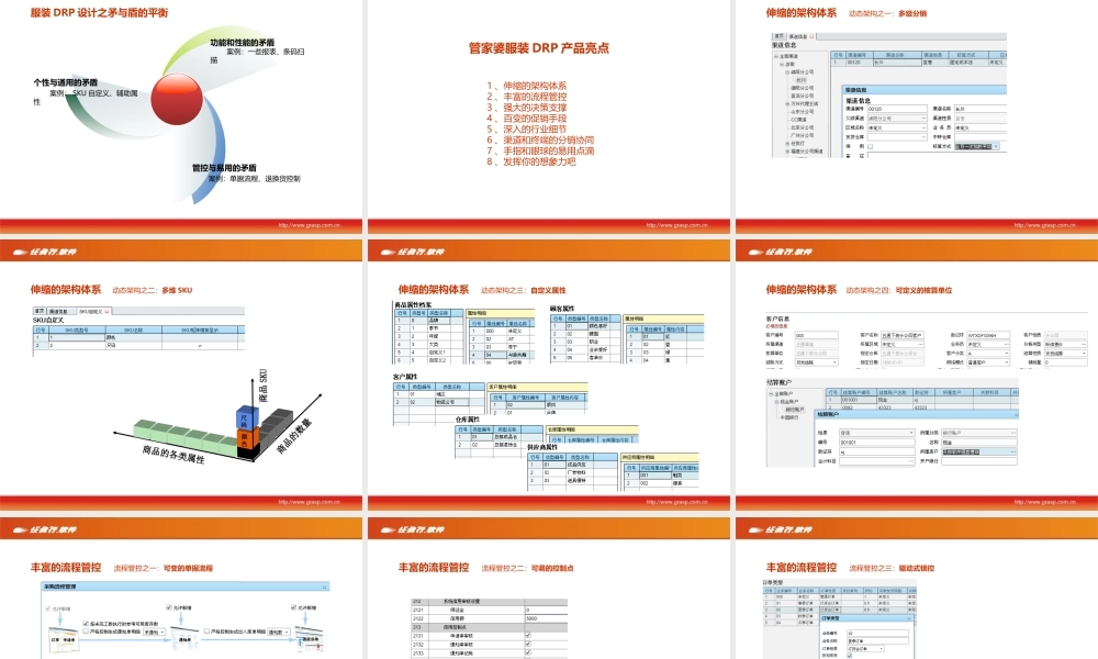陈震：DRP概述.ppt