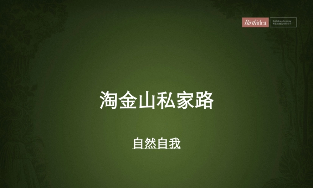 博思堂-淘金山私家路包装建议-78PPT.ppt