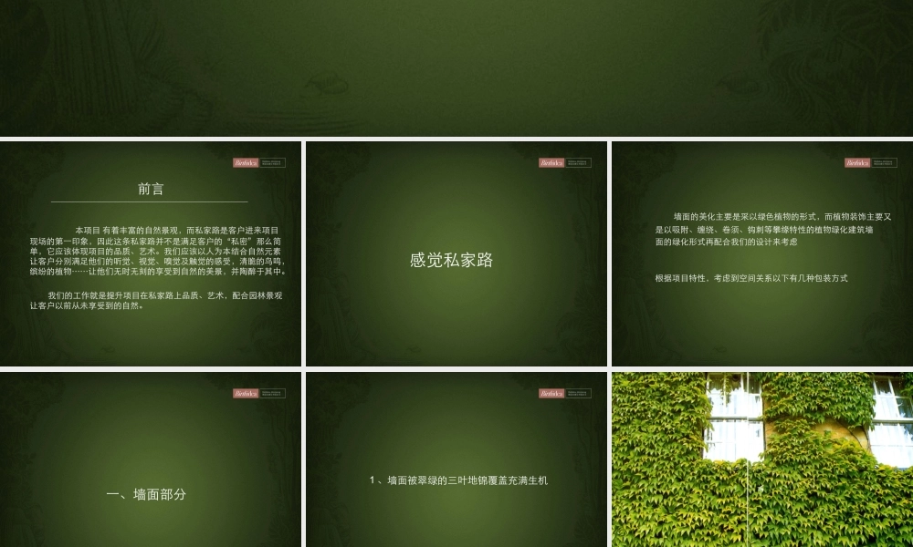 博思堂-淘金山私家路包装建议-78PPT.ppt