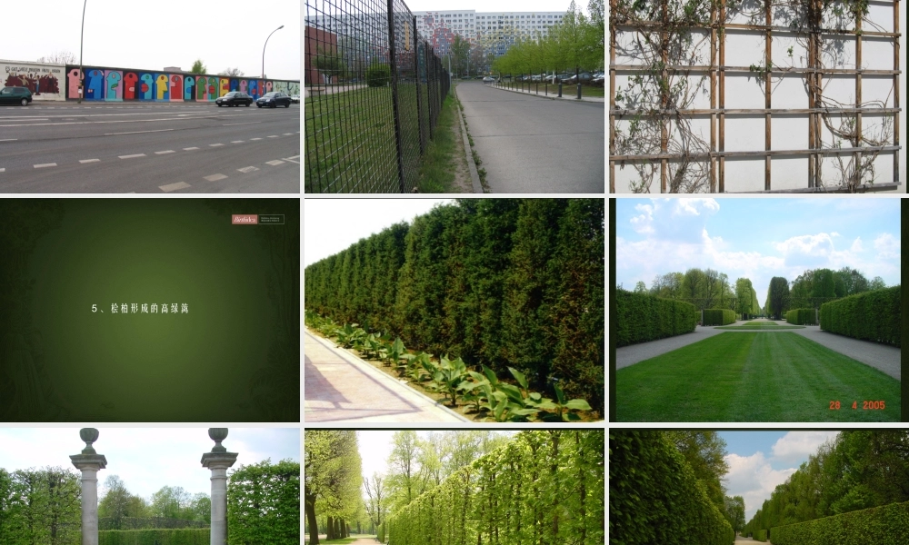 博思堂-淘金山私家路包装建议-78PPT.ppt