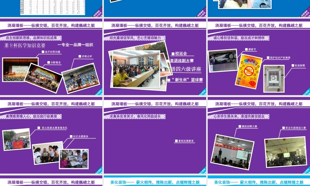 达人PPT素材模板传统论文答辩3.ppt