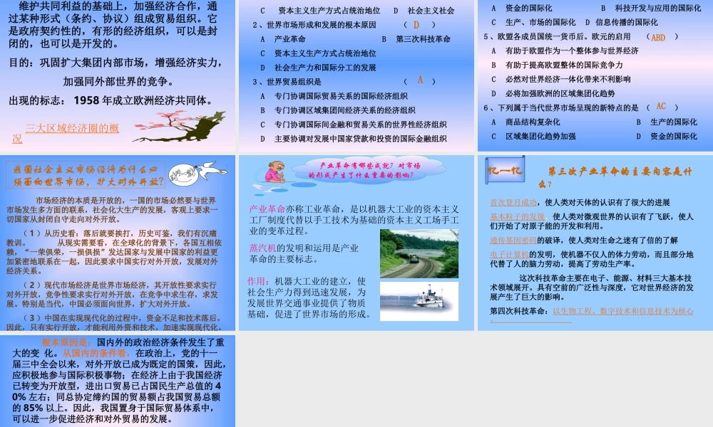 当代世界市场3.ppt