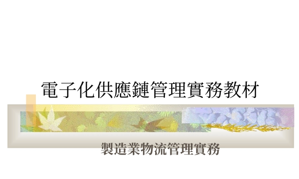 电子化管理实务.ppt