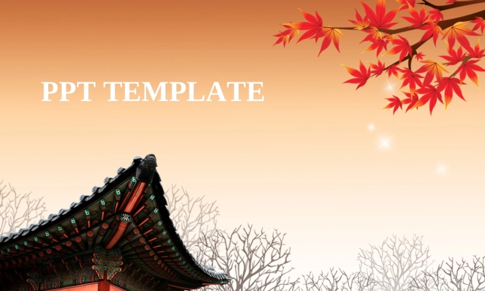 动态 66 亮亮图文.ppt