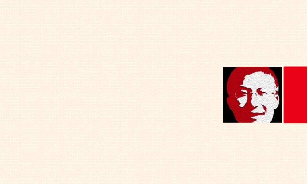 动态 96 亮亮图文.pptx