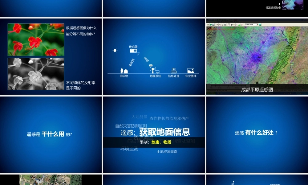 动态 176 亮亮图文.pptx