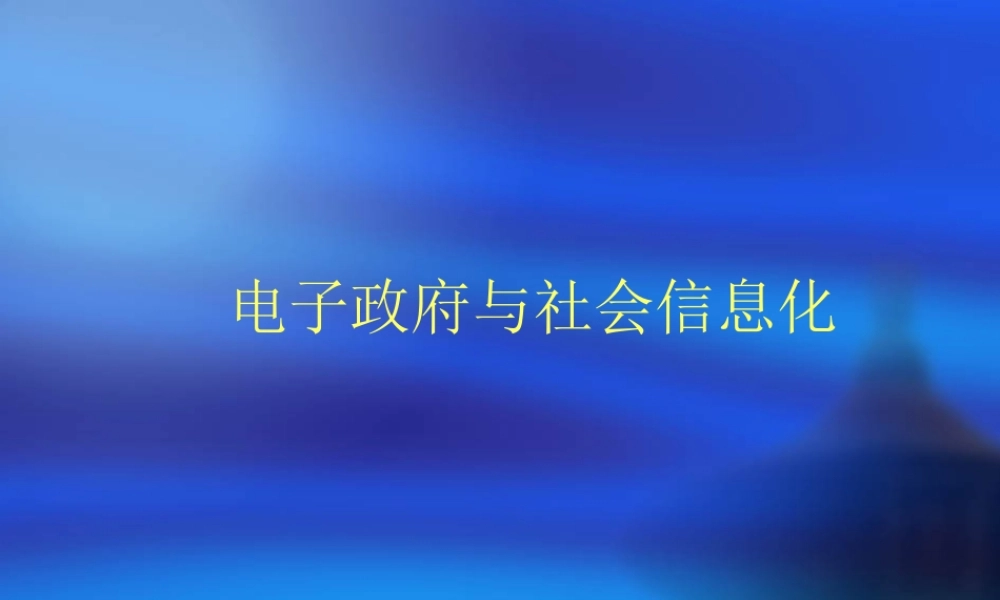 电子政府与社会信息化.ppt