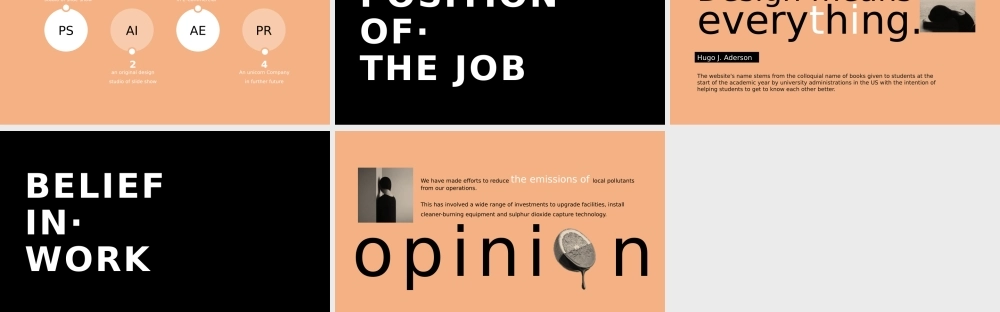 竞聘简历(30).pptx