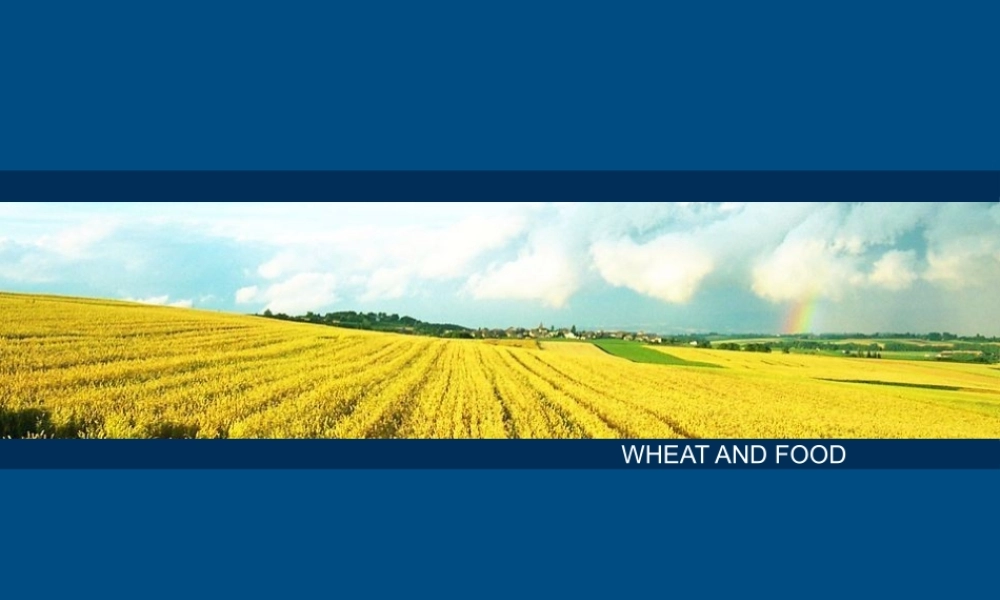 蓝色商务模版-面包出品.pptx