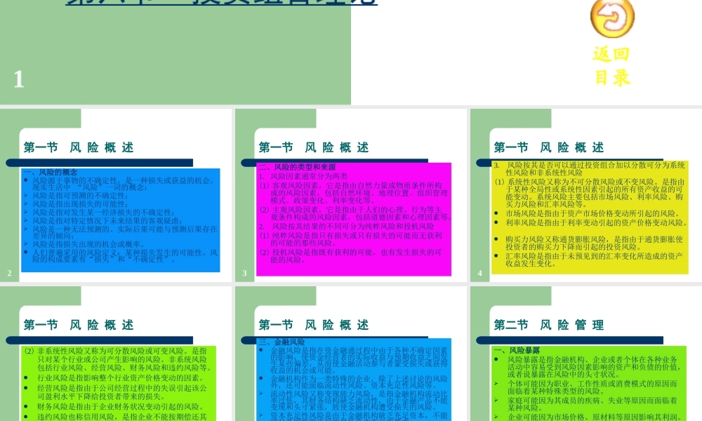 风险管理及投资组合.ppt