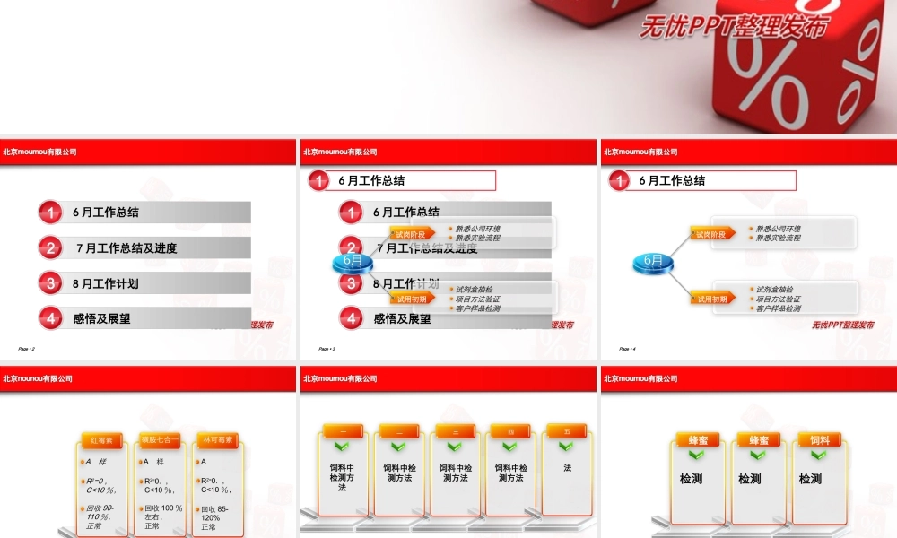 红色工作汇报商务PPT模板.ppt