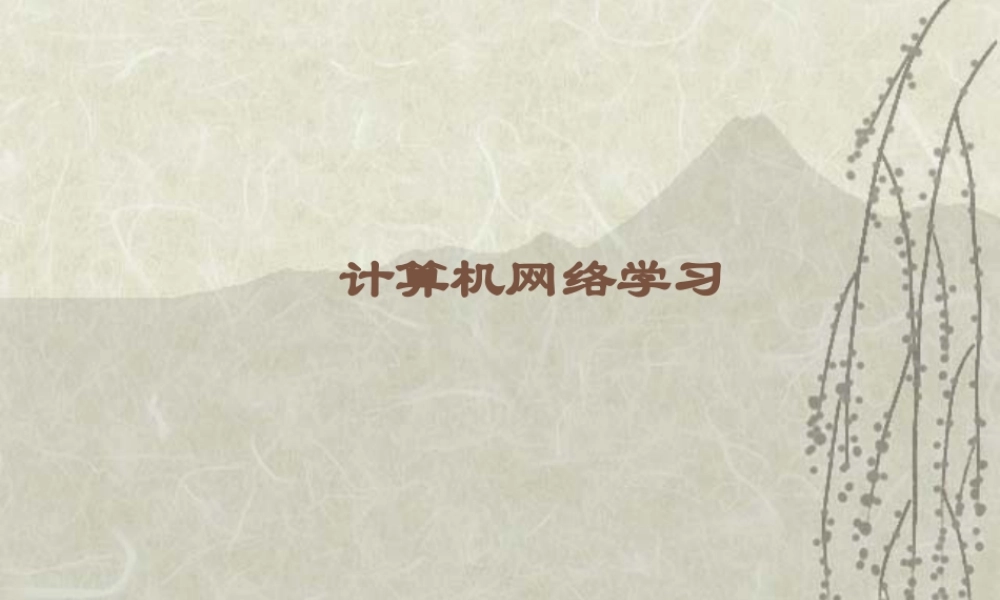 计算机网络学习.ppt