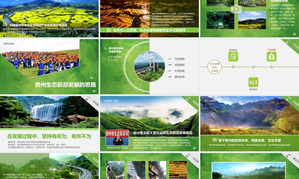 亮亮图文静态模板(新) (43).pptx