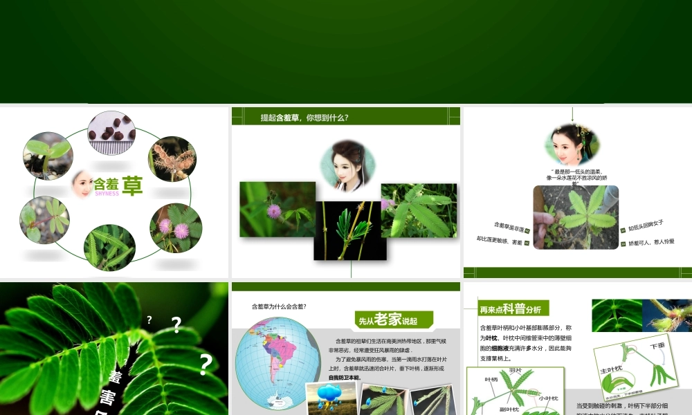 亮亮图文卡通课件56.pptx