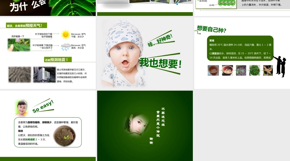 亮亮图文卡通课件56.pptx