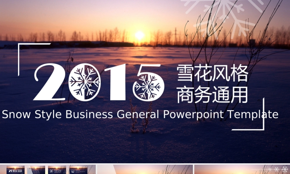 静态 25 亮亮图文.ppt