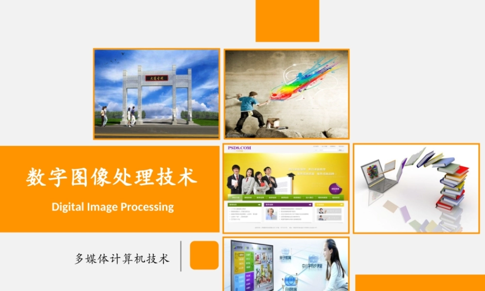 亮亮图文论文答辩43.ppt