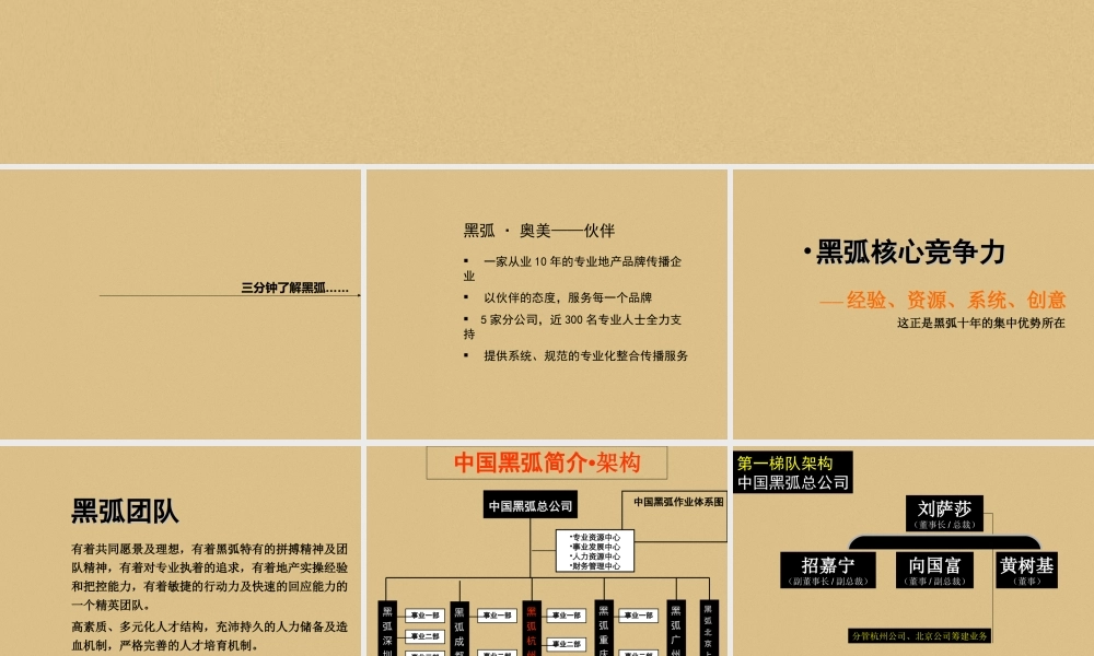 黑弧-常州御城项目广告传播策略案-56PPT.ppt