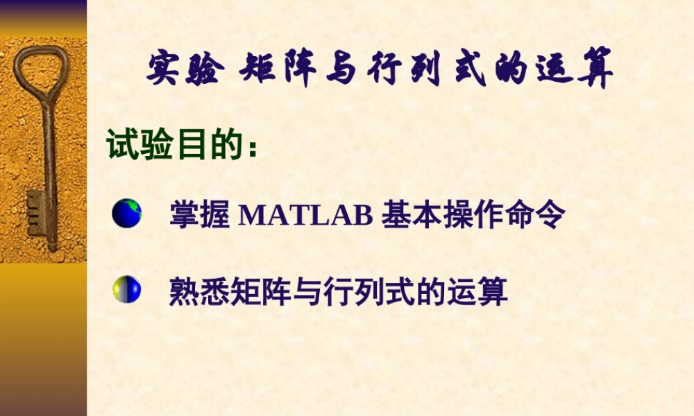 矩阵与行列式的运算.ppt