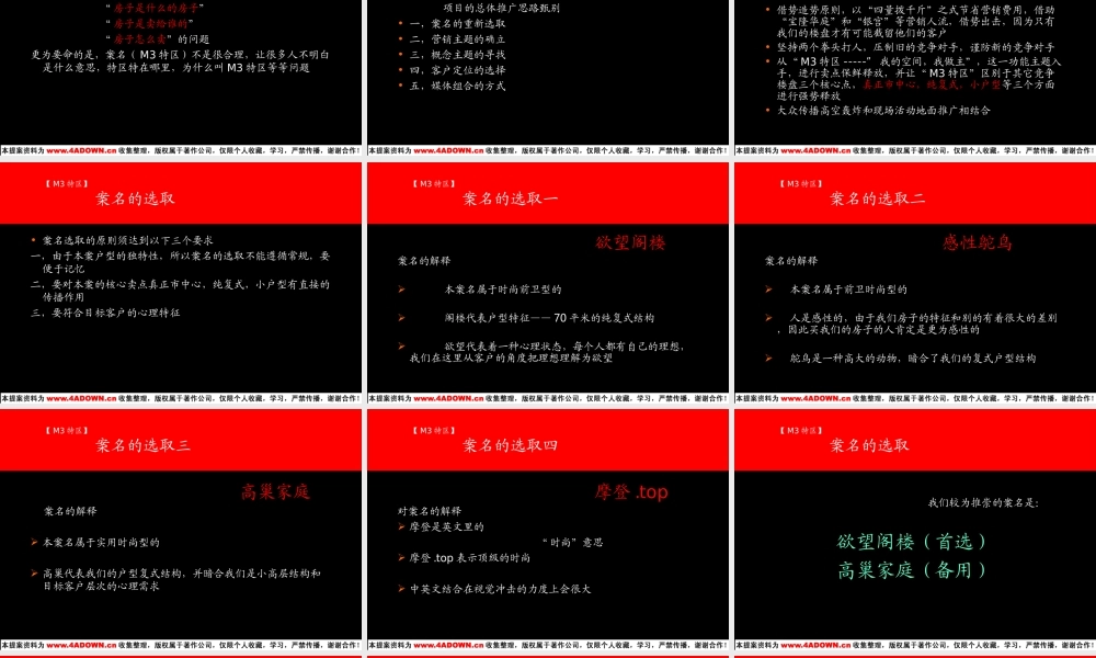 奥美-M3特区2004年度营销推广建议书.ppt