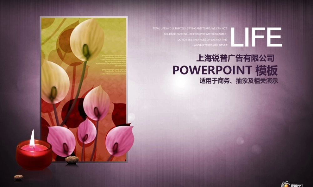 超级好的PPT模板,内有图表.ppt