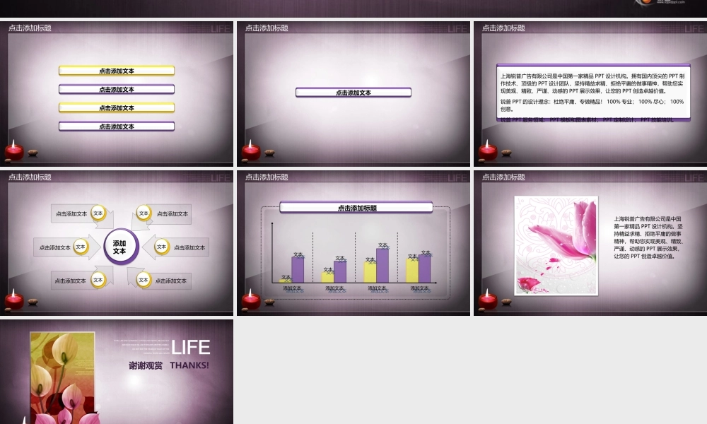 超级好的PPT模板,内有图表.ppt