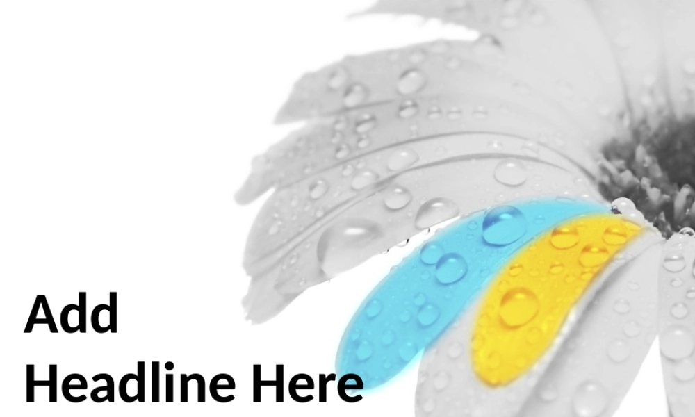 雏菊炫彩PPT模板.pptx