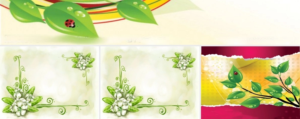 亮亮图文卡通课件115.ppt