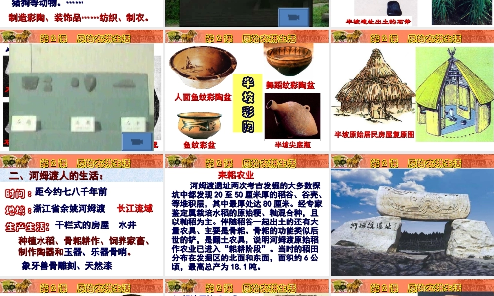 第2课原始农耕生活.ppt