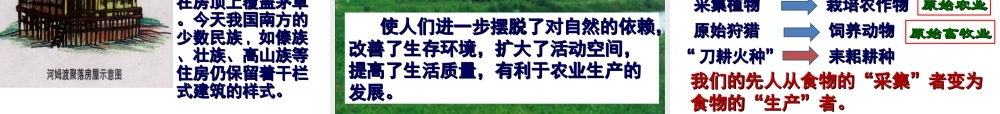 第2课原始农耕生活.ppt