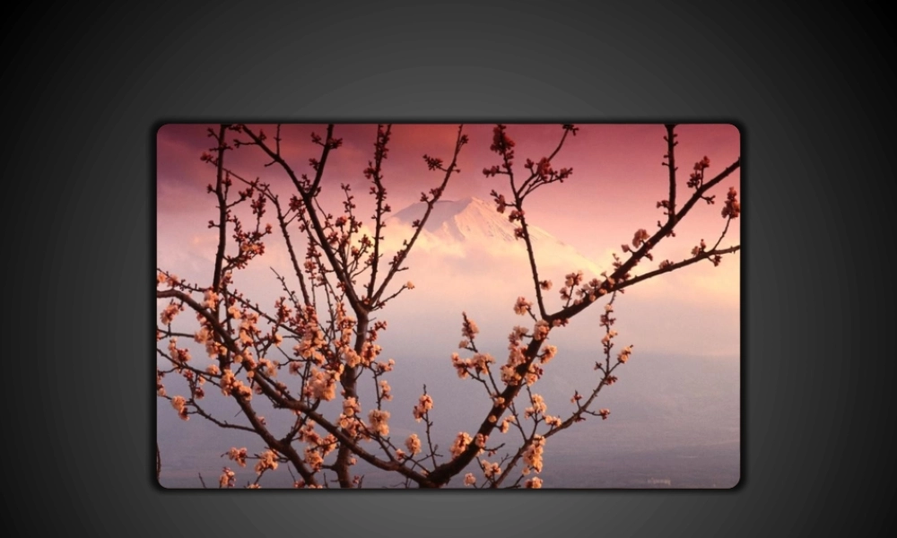 《21》图片轮换动画特效动作分解.pptx