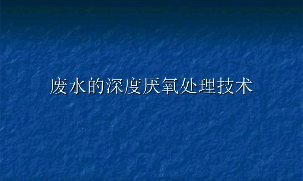 废水的深度厌氧处理技术.ppt