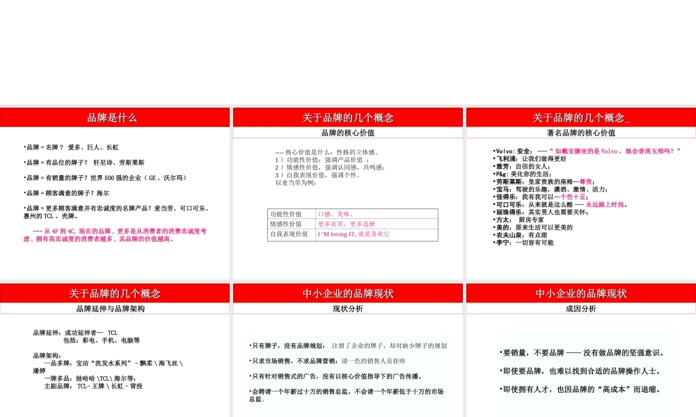 低成本高品牌.ppt