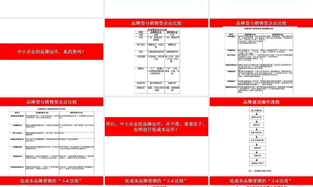 低成本高品牌.ppt