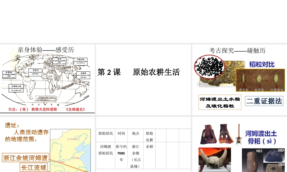 第02课 原始农耕生活-6.ppt