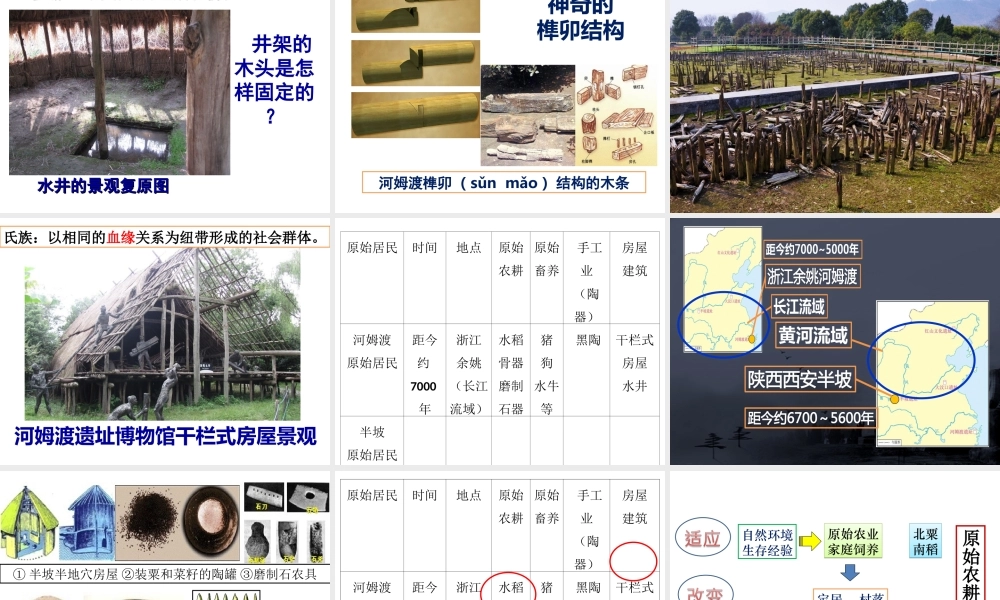 第02课 原始农耕生活-6.ppt