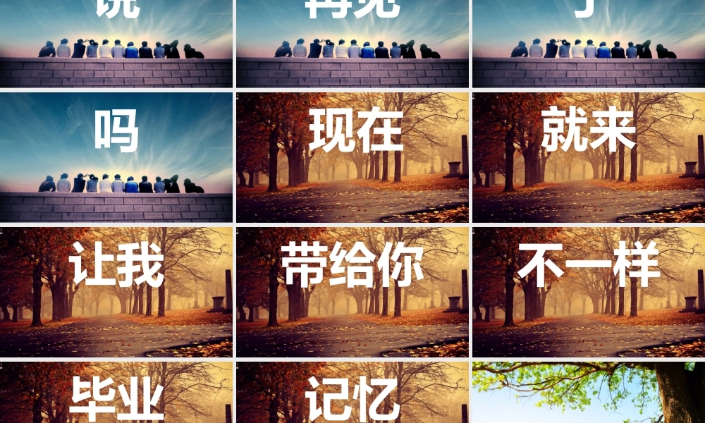 【编号62】毕业纪念册.pptx