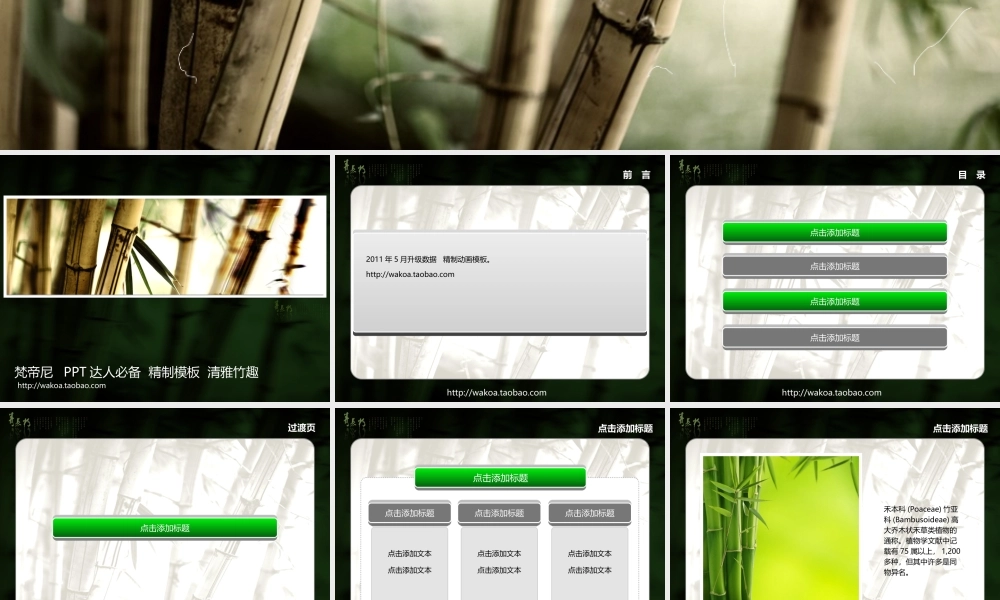 【梵帝尼】2011年5月精制模板-清雅竹趣（动画）.ppt