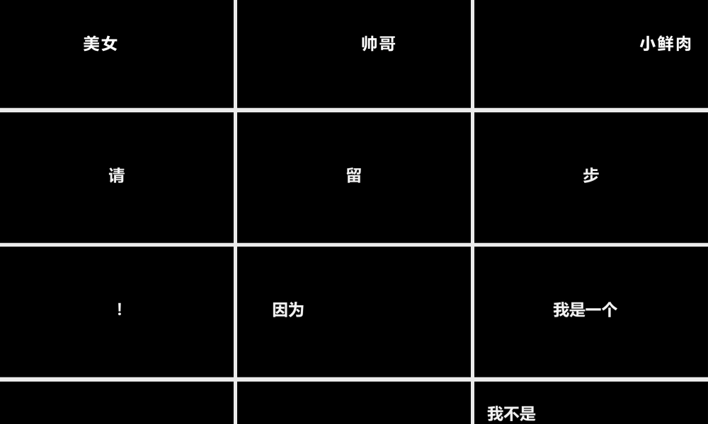 【模板2】黑白文字风格快闪.pptx
