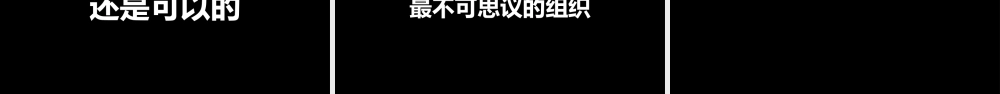 【模板2】黑白文字风格快闪.pptx