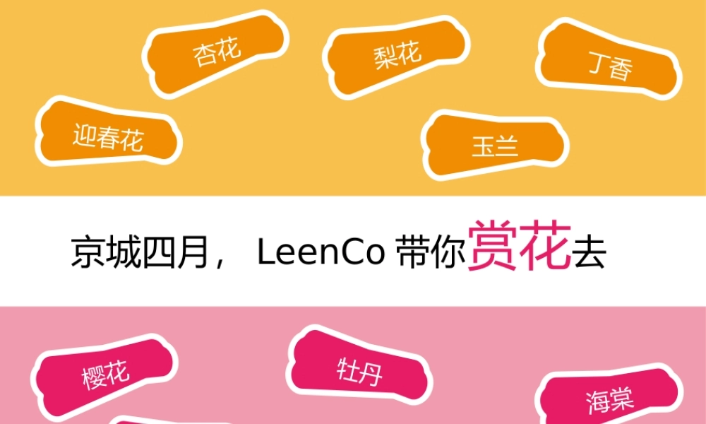 【双色混搭】.pptx