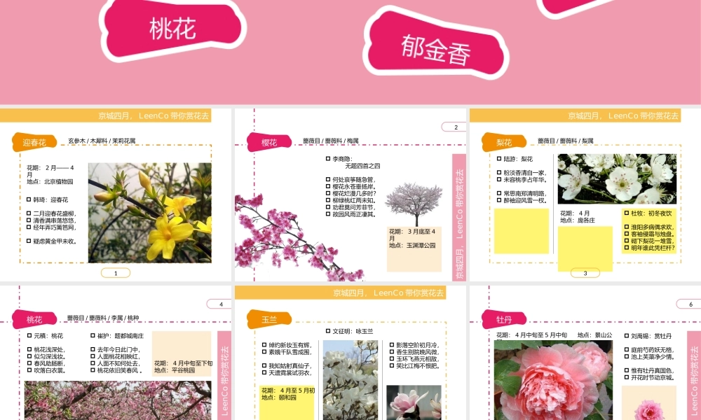 【双色混搭】.pptx