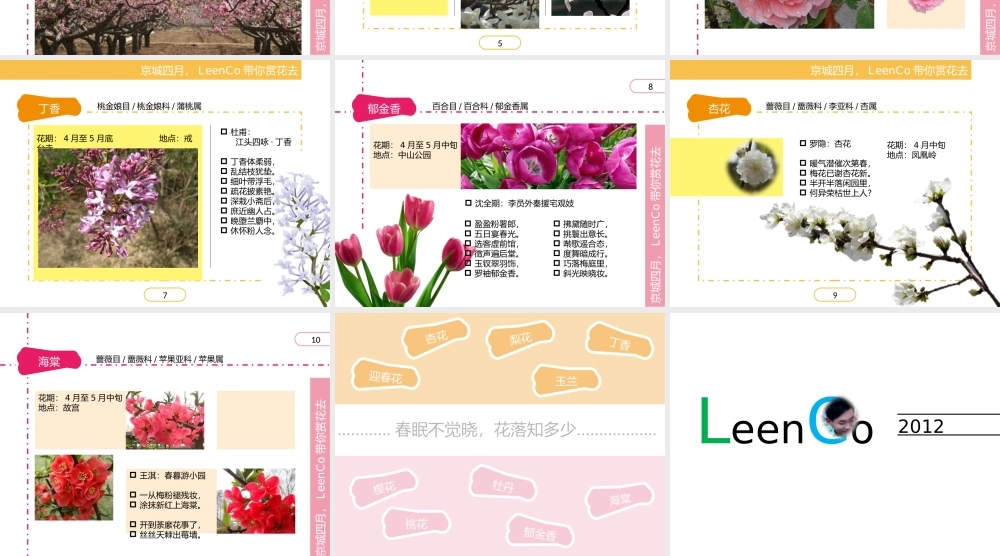 【双色混搭】.pptx