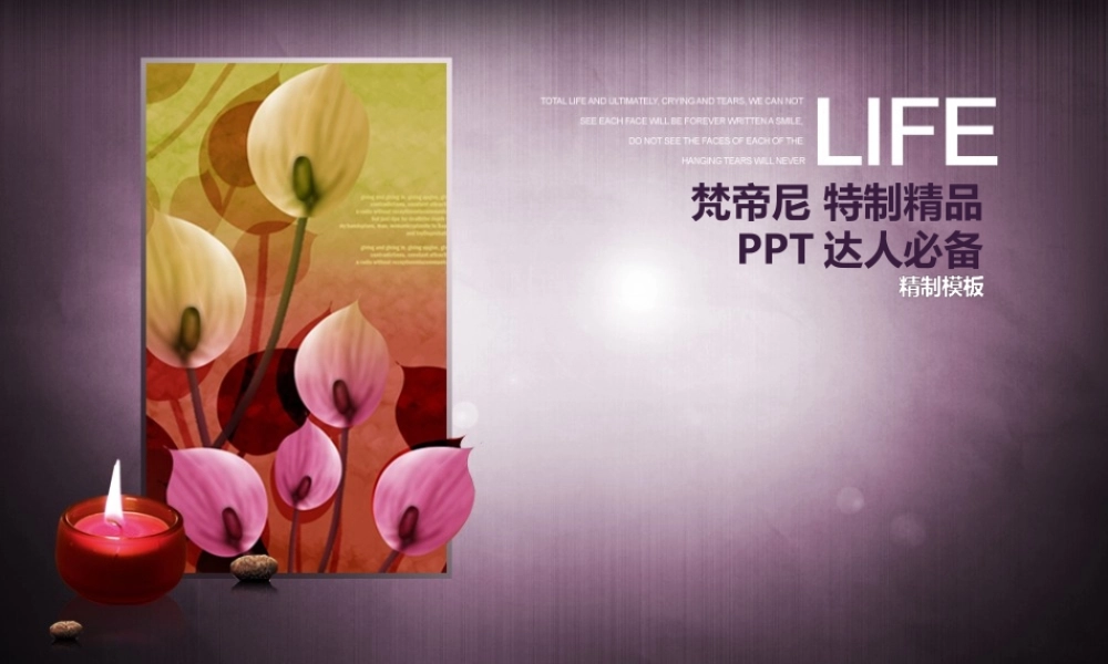 【梵帝尼】-渐变紫与烛光.ppt