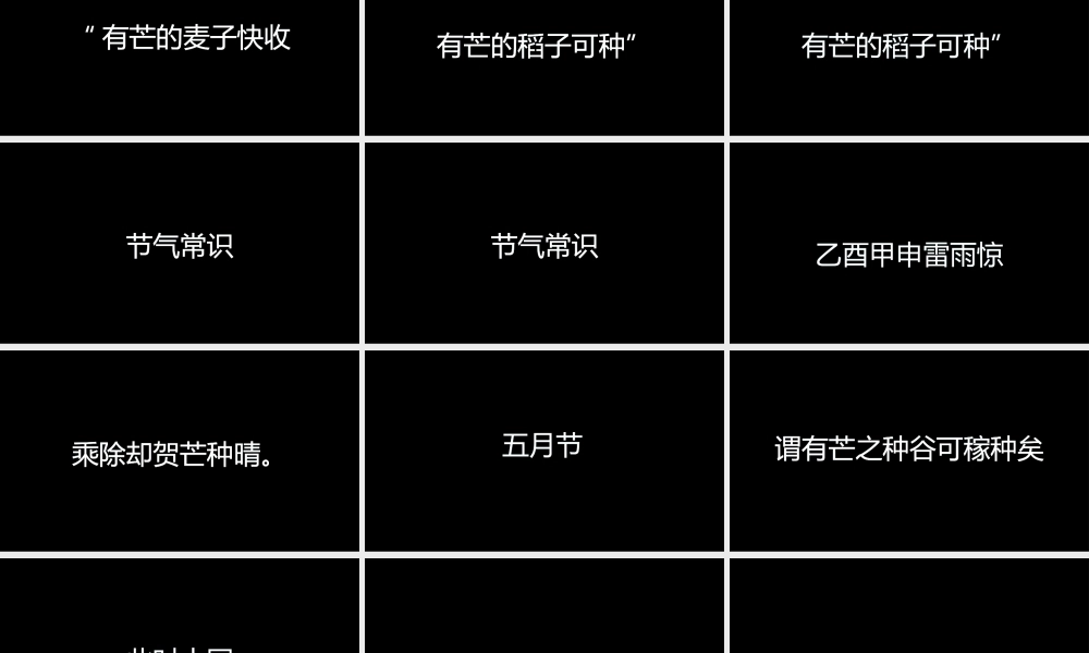 【编号106】芒种 快闪抖音模板.pptx