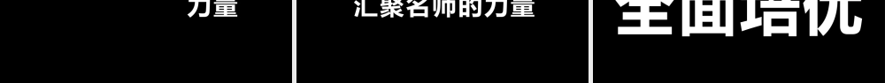 【编号146】暑假培训班招生快闪模板.pptx