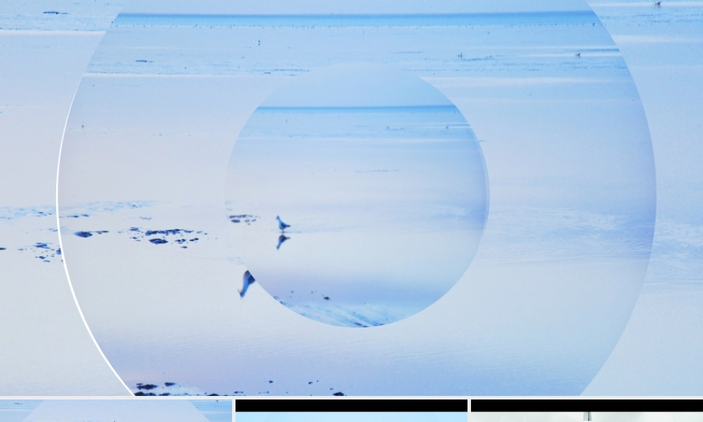 【编号39】红色酷炫快闪动画动态视频介绍PPT模板.pptx