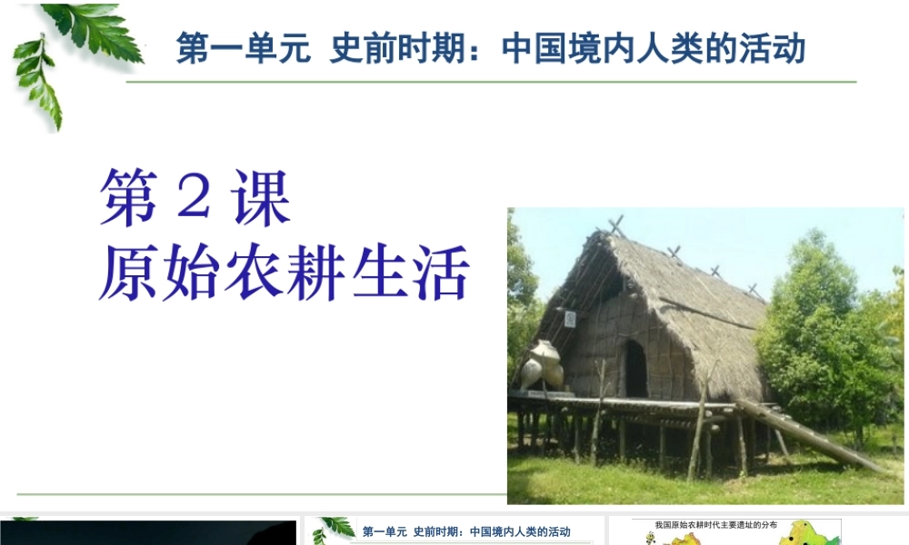 【课件设计】原始农耕生活.pptx