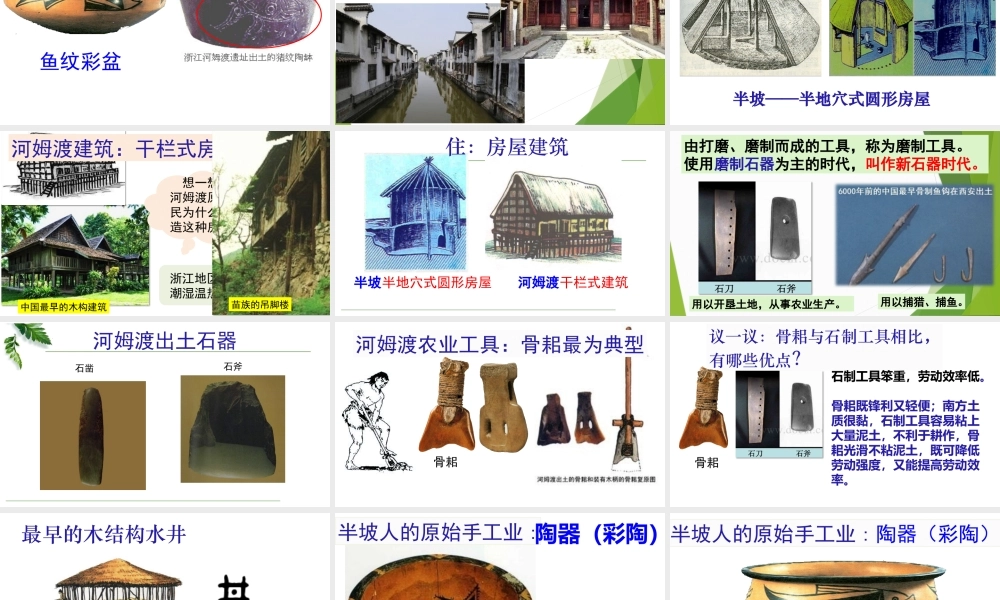 【课件设计】原始农耕生活.pptx