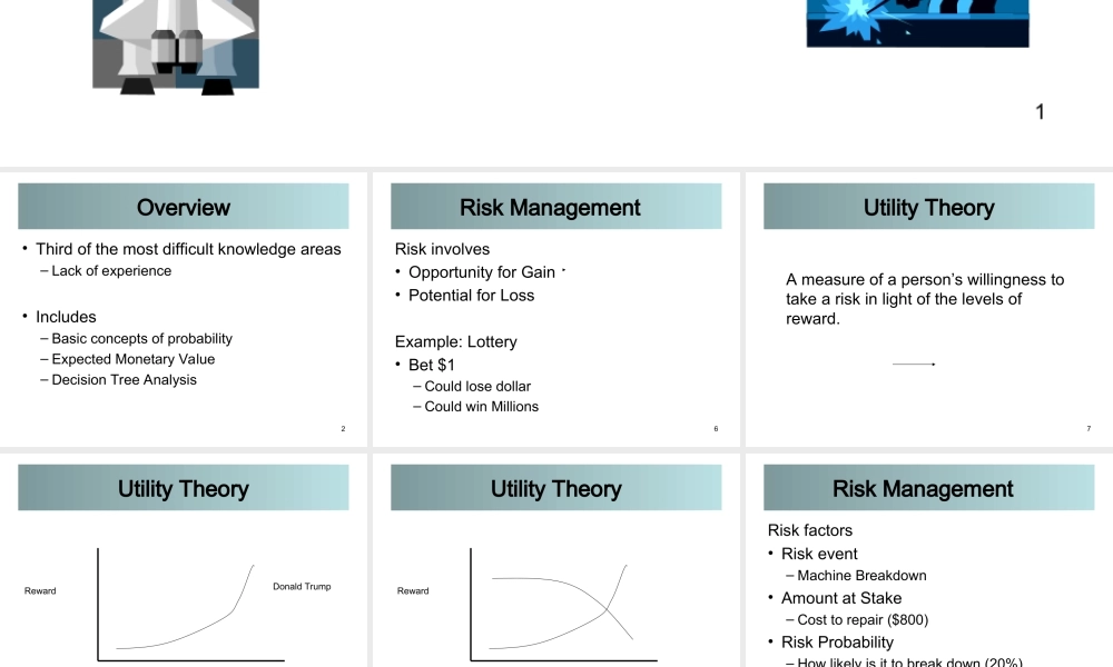 09_0_Risk_090906.ppt